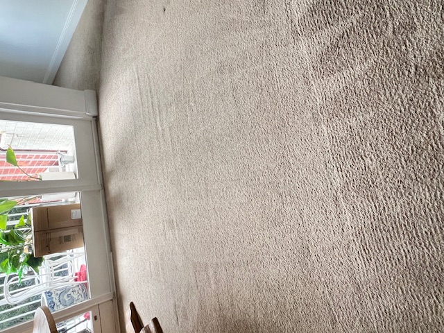 Same carpet after professional eco-friendly steam cleaning — completely restored
