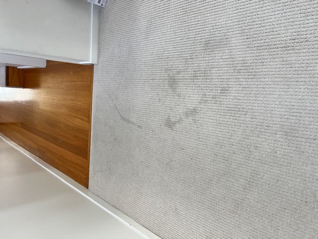 Stained hallway carpet before professional cleaning in Terrigal Central Coast
