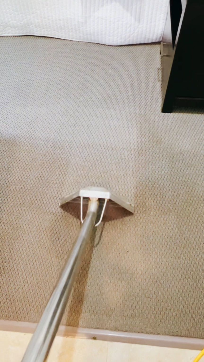 Close-up of professional steam cleaning wand on carpet — Central Coast Carpet Cleaning